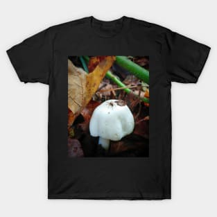 Tiny Spider On Tiny Mushroom T-Shirt